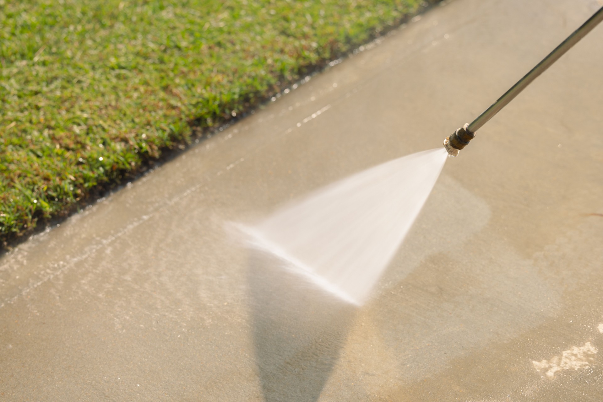 Pressure Washing Driveway - Grass